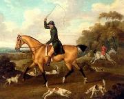unknow artist Classical hunting fox, Equestrian and Beautiful Horses, 216. oil painting reproduction